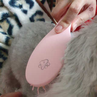 아이캔디 레인보우 볼륨S  브러쉬 for PET 미디엄 — 5점을 준 리뷰어가 2020년 12월 올린 사용 사진