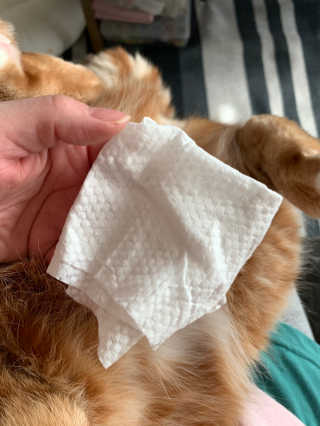 선짱님이 올린 리뷰 사진 3