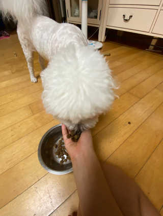 무한독주님이 올린 리뷰 사진 4