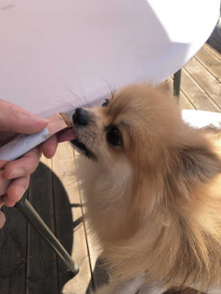 itsnotsobad님이 올린 리뷰 사진 1