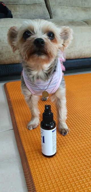 임방글님이 올린 리뷰 사진 2