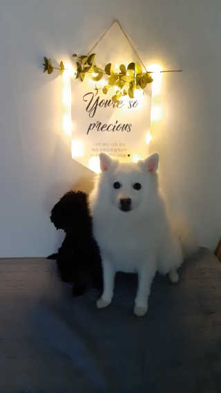 pie_chui님이 올린 리뷰 사진 4