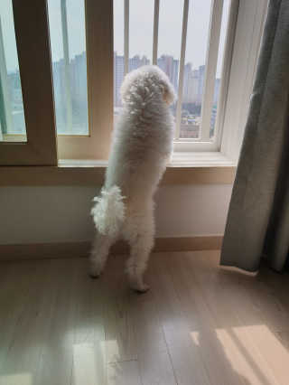 sayonara님이 올린 리뷰 사진 1