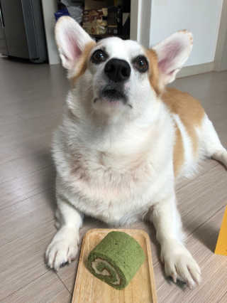 JeongKayla님이 올린 리뷰 사진 3