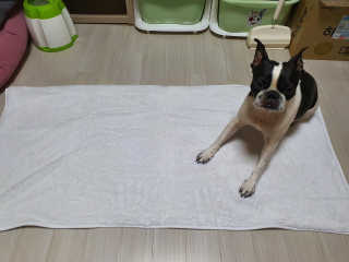 삼꽃단하나님이 올린 리뷰 사진 3