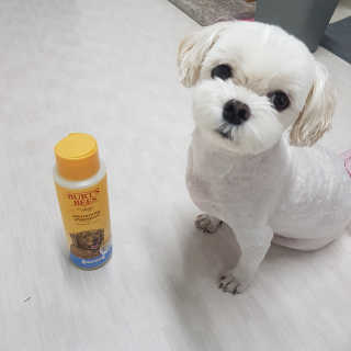권쁜님이 올린 리뷰 사진 2