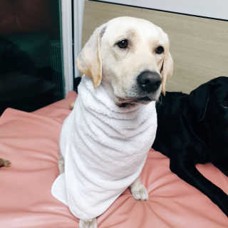Lilly❤️님이 올린 리뷰 사진 2
