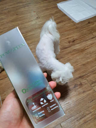 뽀오오옹님이 올린 리뷰 사진 3