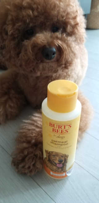 용용마마님이 올린 리뷰 사진 1