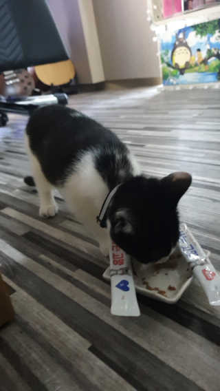 퓨리아님이 올린 리뷰 사진 3