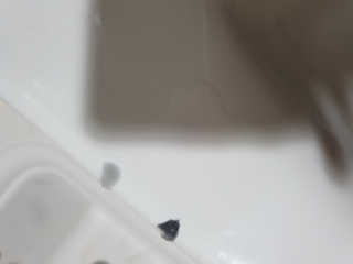 데이지맘님이 올린 리뷰 사진 2