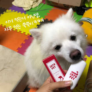 [레드허니밤]자유펫 고양이 강아지 발바닥 밤 14g — 5점을 준 리뷰어가 2020년 7월 올린 사용 사진