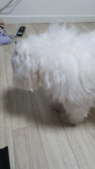 캄자님이 올린 리뷰 사진 3