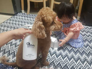 예민한 피부를 위한 코코몰리 All in one 자연유래 샴푸 — 5점을 준 리뷰어가 2020년 7월 올린 사용 사진