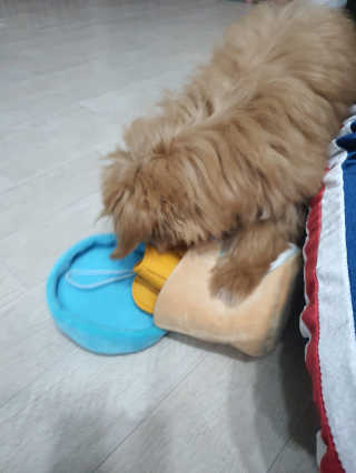 BINSMOM님이 올린 리뷰 사진 3