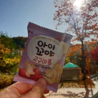 달리아님이 올린 리뷰 사진 1