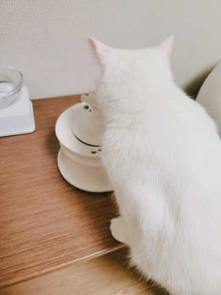 대박이님이 올린 리뷰 사진 4