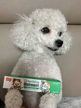 zzzbebemin님이 올린 리뷰 사진 1