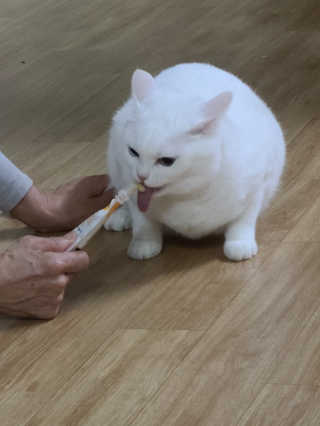 매리님이 올린 리뷰 사진 3