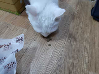 야키소바빵님이 올린 리뷰 사진 4