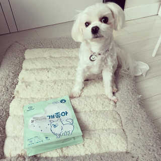 My Pet Care 천연단백질 눈건강에 개좋아 — 5점을 준 리뷰어가 2020년 11월 올린 사용 사진