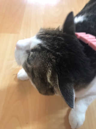 정수민님이 올린 리뷰 사진 3