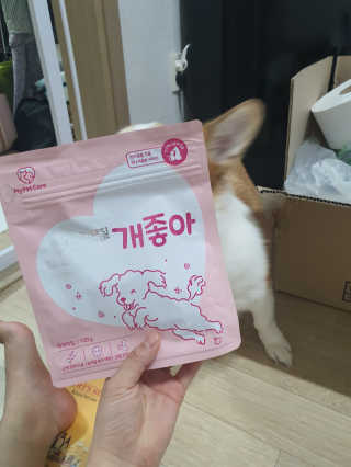My Pet Care 천연단백질 관절건강에 개좋아 — 5점을 준 리뷰어가 2020년 11월 올린 사용 사진