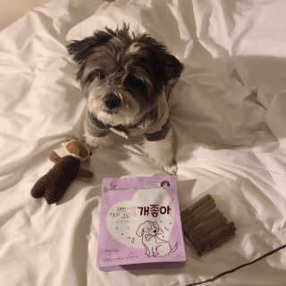 My Pet Care 천연단백질 치아건강에 개좋아 — 5점을 준 리뷰어가 2020년 11월 올린 사용 사진