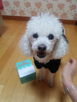 채시아님이 올린 리뷰 사진 1