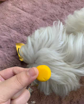 강아지아지아지님이 올린 리뷰 사진 4