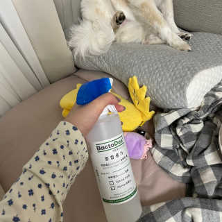 끙님이 올린 리뷰 사진 2