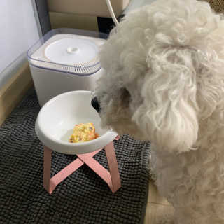 쪄니호잇님이 올린 리뷰 사진 4