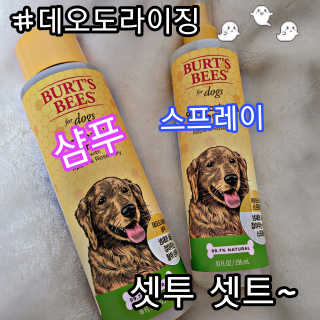 제제님이 올린 리뷰 사진 2