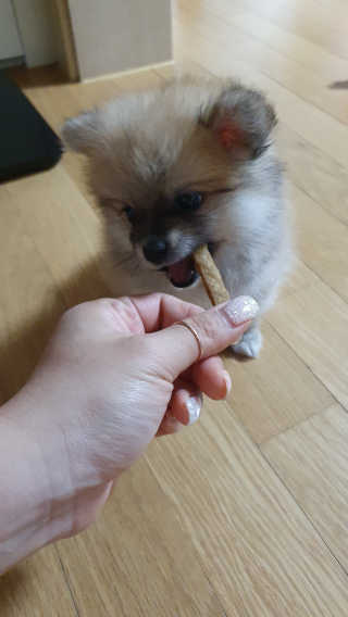 용빈맘님이 올린 리뷰 사진 3