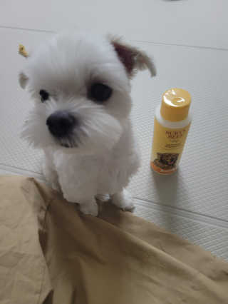 에스알님이 올린 리뷰 사진 2