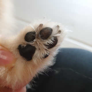 뭉이열리고님이 올린 리뷰 사진 3