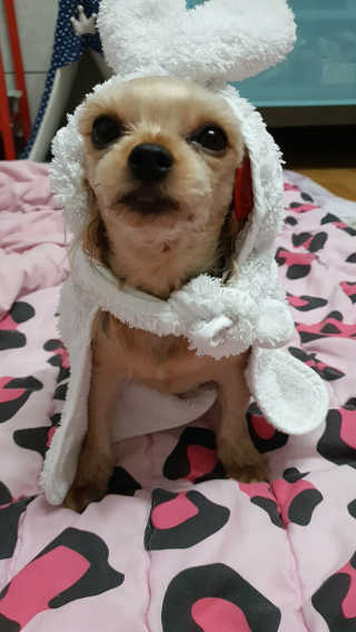 포포맘님이 올린 리뷰 사진 3