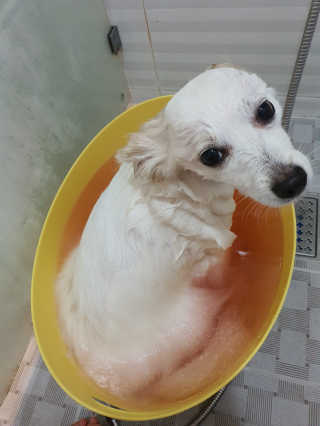 손바닥님이 올린 리뷰 사진 4
