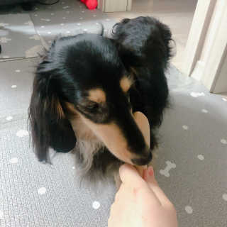 조호이님이 올린 리뷰 사진 1