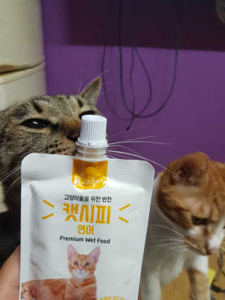 신예지님이 올린 리뷰 사진 2