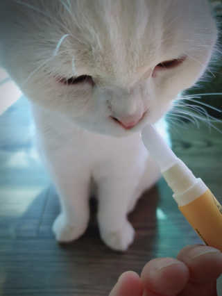 좋아님이 올린 리뷰 사진 1