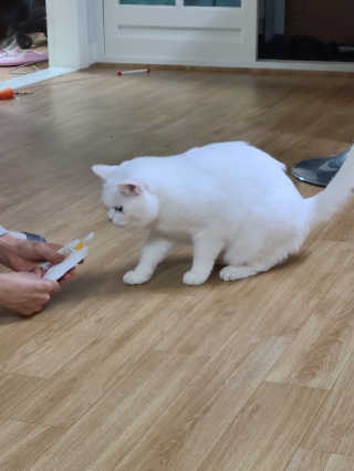 매리님이 올린 리뷰 사진 2