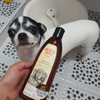 쇼콜라님이 올린 리뷰 사진 1