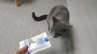 Persqabz님이 올린 리뷰 사진 3