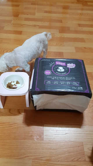 연이님이 올린 리뷰 사진 2