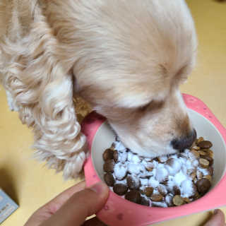 제니맘님이 올린 리뷰 사진 3