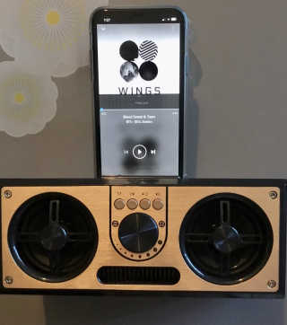 SEVIZ RETRO20W 레트로 블루투스 스피커 — 5점을 준 리뷰어가 2020년 7월 올린 사용 사진