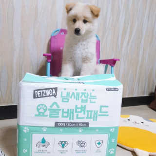 🎀딸 ♥️랑 🔆구🍭님이 올린 리뷰 사진 4