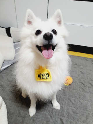 둥글이님이 올린 리뷰 사진 2