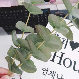 비오맘님이 올린 리뷰 사진 3